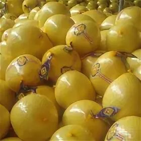 Фрукт 4 буквы