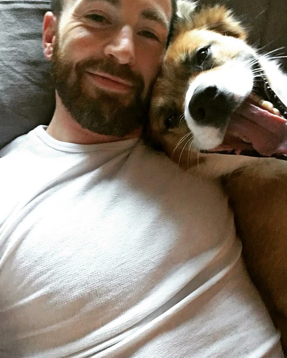 Dog chris. Dog chris. Dog chris. Приколы с собаками картинки. Питбуль аватар 2023.