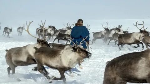 Переселение с крайнего севера