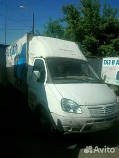 Газель энгельс