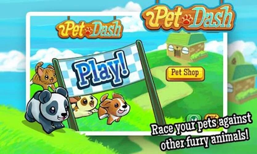 Питомцы АПК. Dash Pet. Pet Dash гонки кроликов. Dash Dash Racing.