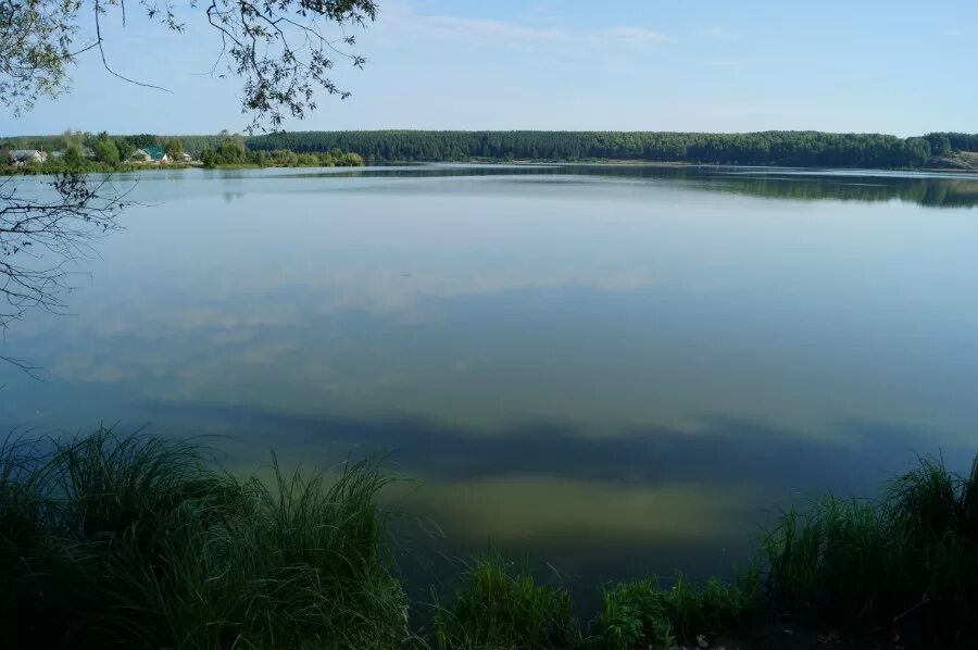 Водоемы области. Вознесенский пруд Нижегородская область. Вознесенское Нижегородской области пруд. Пруд Вознесенский Мошковский район. Илевские пруды Нижегородской области.