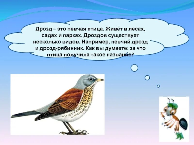 Из всех птиц живущих. Певчий Дрозд и Дрозд рябинник. Птицы живущие в садах. Певчий Дрозд рябинник. Птицы лесов садов и парков.