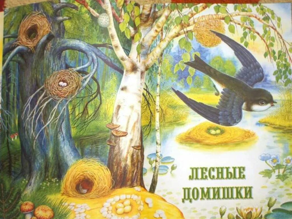 Бианки лесные домишки текст. В.Бианки книга Лесные домишки. Бианки Лесные домишки иллюстрации к рассказу.