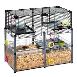 cage pour hamster - mbs10.ru.