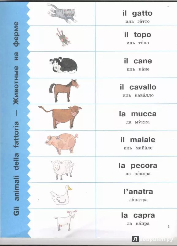 Перевод транскрипции животные. Животные на английском языке. Домашние животные на английском. Названия животных на английском. Животные на английском языке с транскрипцией.