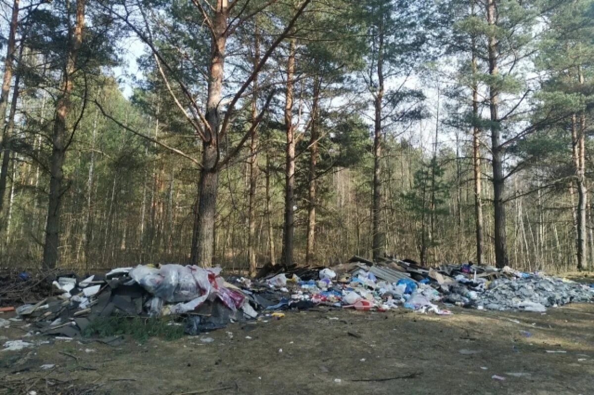 Aif ru society. Свалки Тверской области. Экология Тверской области. Мусорные кучи в Осташкове. Проблемы экологии в Тверской области.