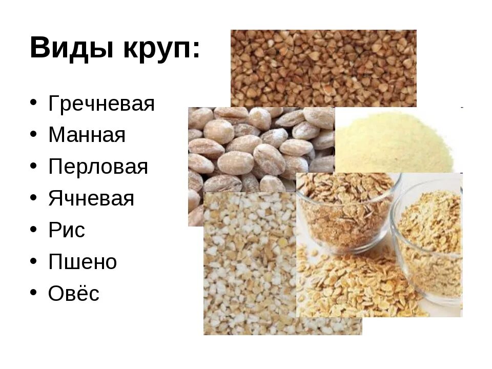 Виды разных круп. Виды круп. крупы названия. названия разных круп. название круп для каши.