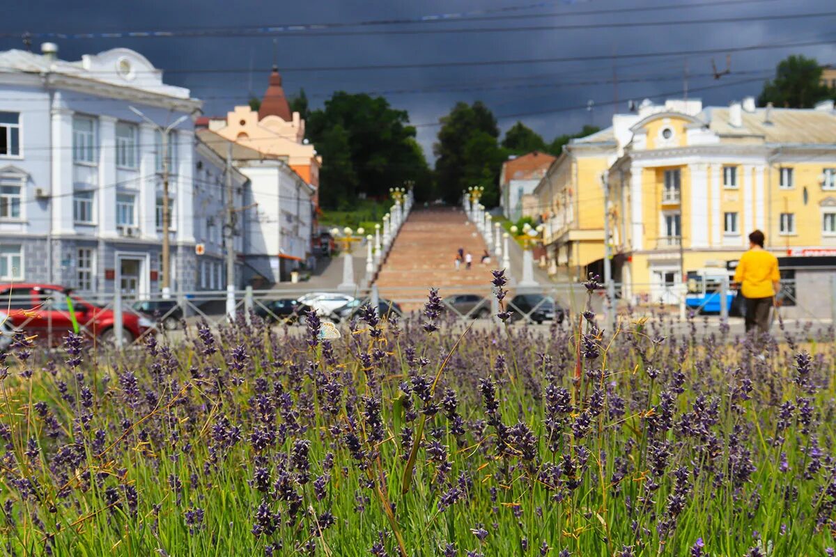 День города брянск фото. Работа в городе брянске. Брянск центр города. Работа в городе брянске. Современный брянск.
