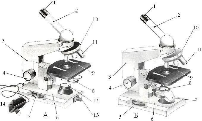 Световой микроскоп Микмед 1. Световой микроскоп Биолам рисунок строение. Механические части микроскопа Микмед 5. Бинокулярный микроскоп строение.