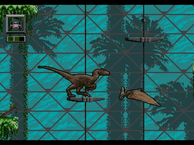 Jurassic park sega. Jurassic park сега. jurassic park 2 rampage edition sega. jurassic park rampage sega. jurassic park 2 для сега.