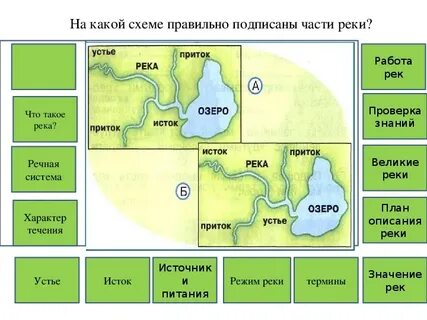 Подпиши схемы