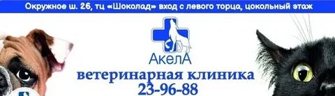 Ветеринарная березовский свердловская область