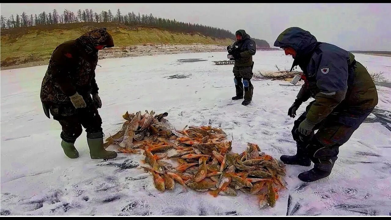 Первый лед 2020 2021 зимняя рыбалка Якутия. Рыбалка Якутия 2021. Первый лед 2020 зимняя рыбалка в Якутии. Зимняя рыбалка в Якутии 2021.