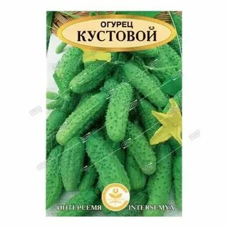 Описание сорта сила