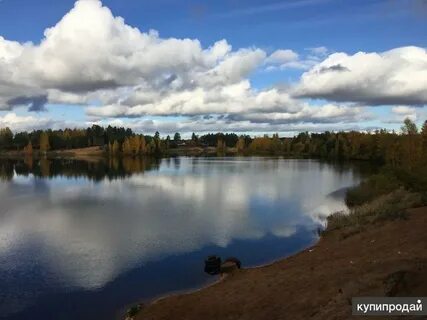 Лебяженское городское поселение ломоносовского