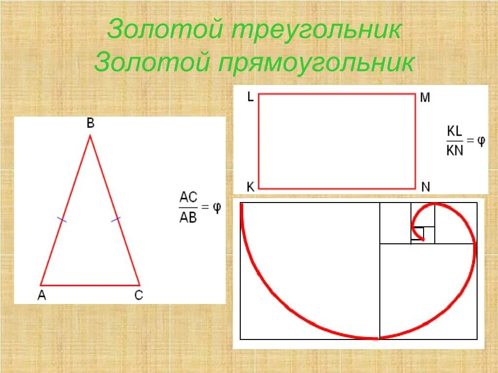 Золотой треугольник сайт. Золотое сечение треугольника. Золотой треугольник и золотой прямоугольник. Золотой треугольник золотое сечение. Золотое сечение в прямоугольном треугольнике.