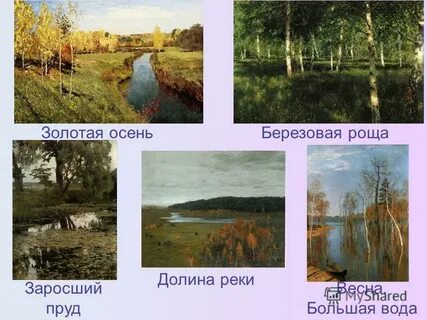 Завешанная картинами выкаченная вода