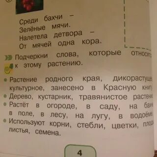 Подчеркни слова отвечающие на вопрос что