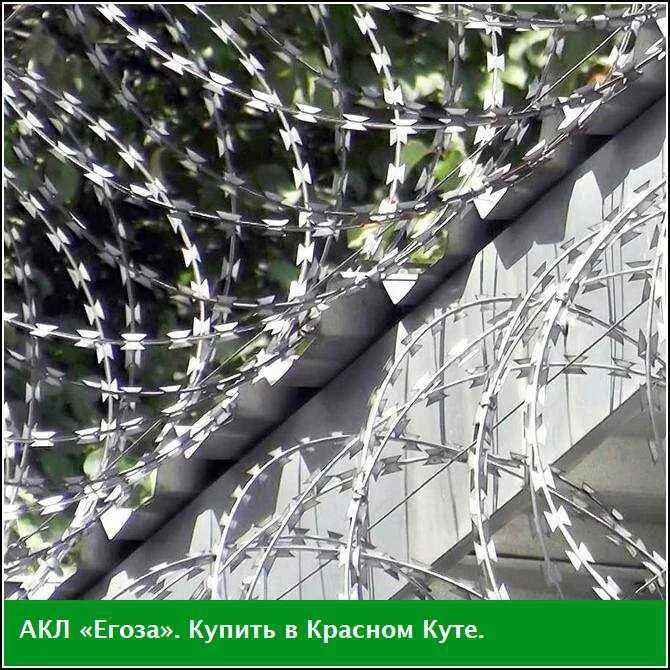 Егоза чебоксары. Армированная колючая лента типа егоза. Сбб. Сбб акл егоза 900. Акл.