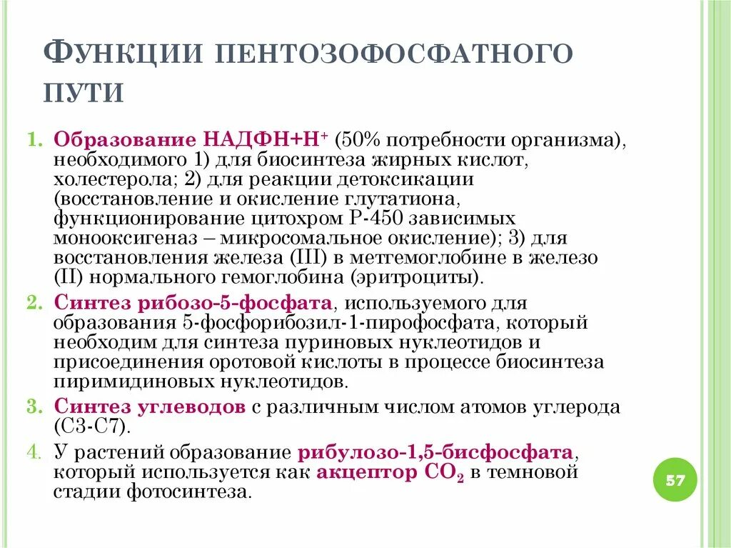 Функции биологического образования. Окислительный этап пентозофосфатного пути биологическая роль. Биологические функции пентозофосфатного пути. Биологическая роль пентозофосфатного цикла. Биологическая роль пентозофосфатного пути окисления Глюкозы.