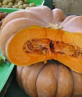 Самый сладкий сорт тыквы
