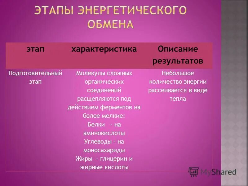 Совокупность химических реакций. Совокупность химических реакций