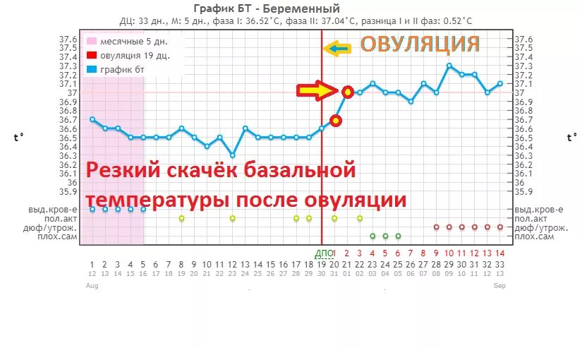 Температура после овуляции 37. График базальной температуры норма. График базальной температуры с овуляцией. График базальной температуры при овуляции с пояснениями. Овуляторный график базальной температуры.