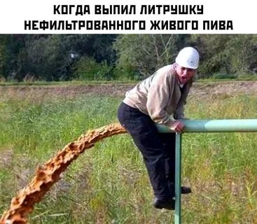 Понос Смешные Картинки 56 фото 
