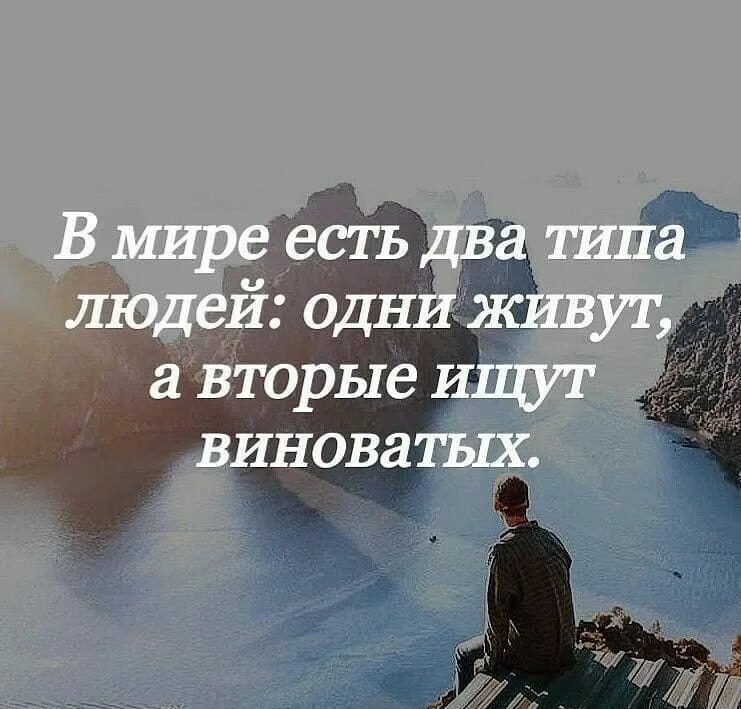 Цитата попросить прощение. Цитата есть 2 типа людей. Стихи против власти. Виноват прости. Виновато проживать.