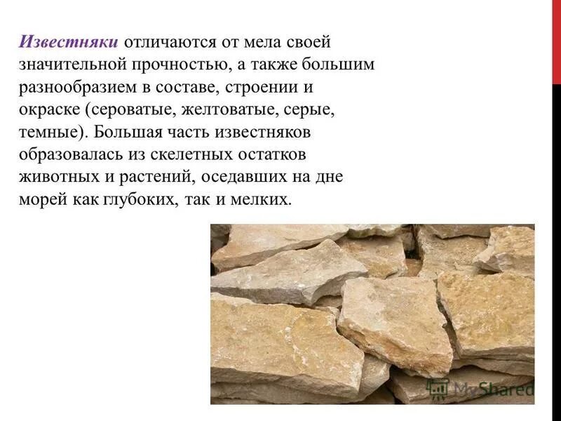 Разновидности известняка. Известняк описание. Как появился известняк. Известняк строение. Известняк доклад 3 класс