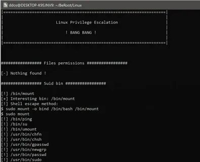 Linux usr bin