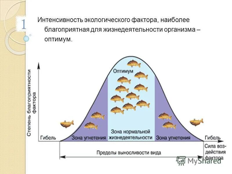 Наиболее благоприятное значение экологического фактора это. Действие экологического фактора на живой организм. рисунок влияние экологического фактора на живой организм. схема действия экологического фактора. интенсивность действия экологических факторов.