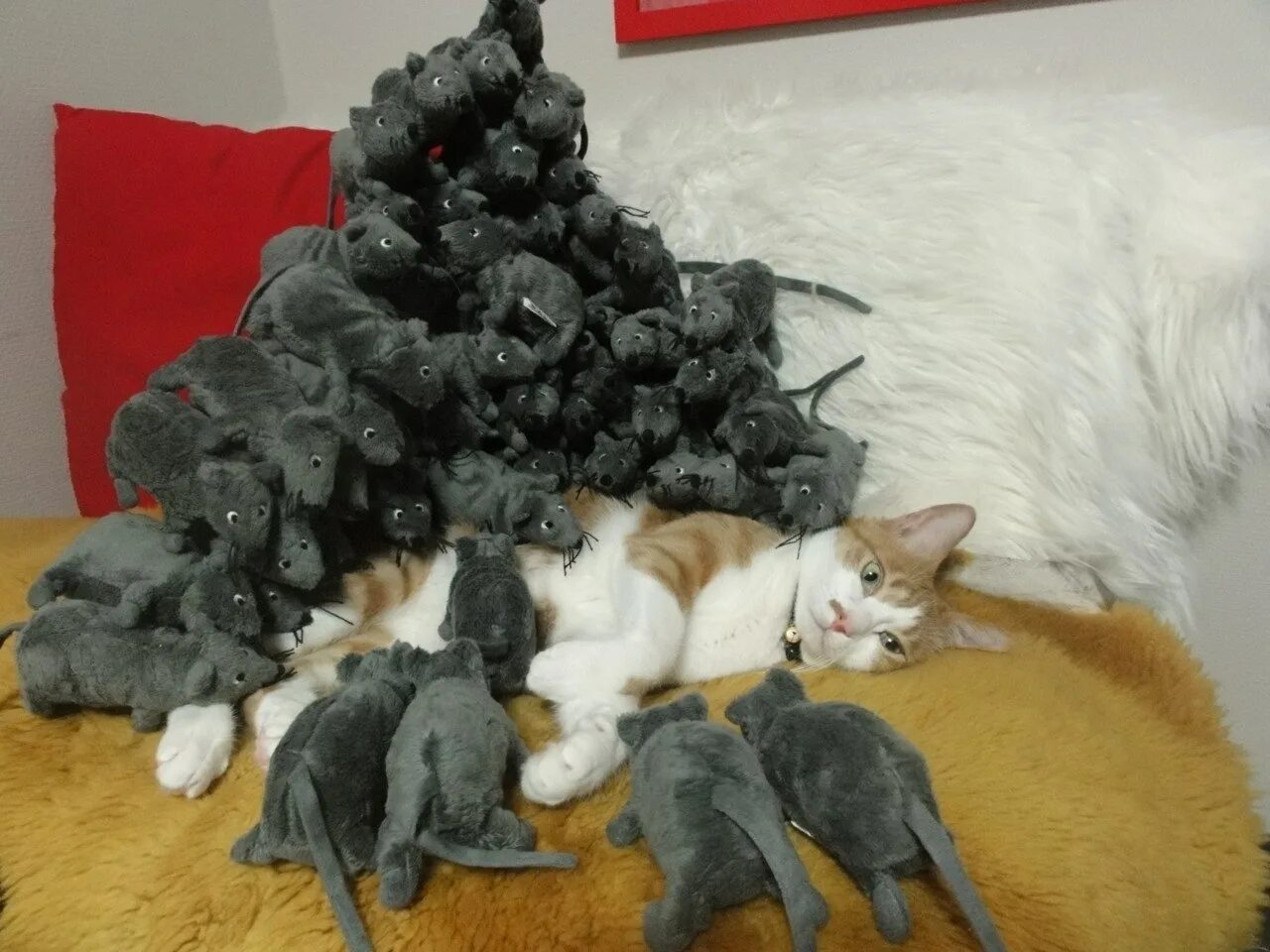 Ну несколько есть