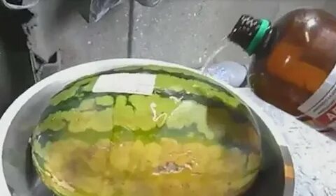 Смертельный арбуз
