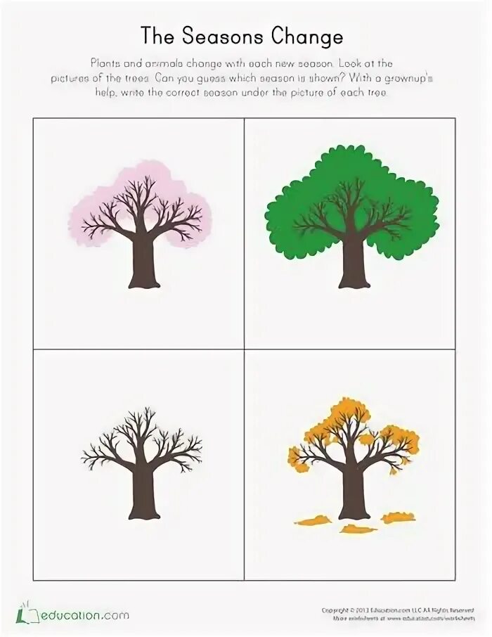 How many seasons change. Changing seasons worksheets. seasons worksheets for preschoolers. seasons worksheets for kids pdf.