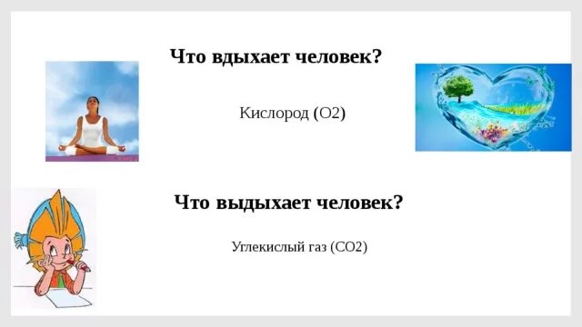 Сколько кислорода выдыхаемом человеком. Что вдыхает и выдыхает человек. Человек вдыхает кислород. Человечек вдыхает и выдыхает. Чем человек дышит и что выдыхает.