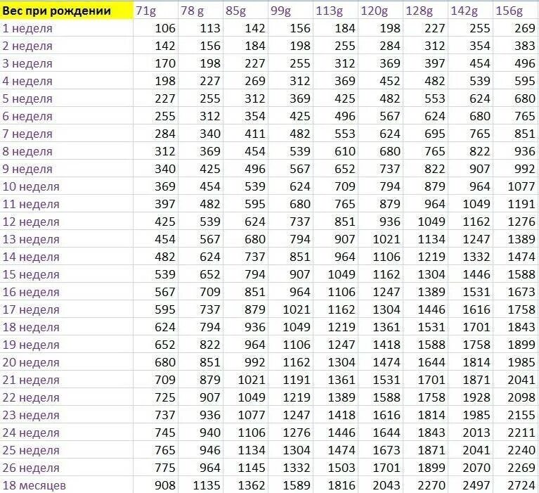 Вес щенка Йорка по месяцам таблица стандарт. Таблица веса Йорка по месяцам мини и стандарт. Таблица веса чихуахуа по месяцам стандарт мини. Таблица веса щенков мелких пород.