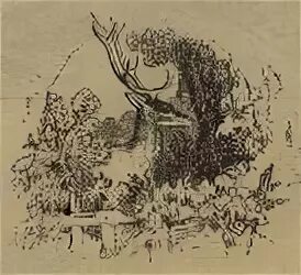 Басня олень. Олень в винограднике. Олень слово. Олень в винограднике. Басня лафонтена виноградник и олень.