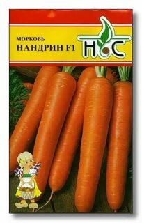 Морковь нандрин отзывы