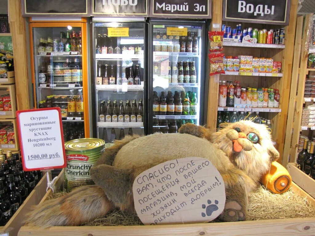 йошкин кот в йошкар-оле магазин спиртной. магазин йошкин кот в йошкар оле. йошкин кот зима йошкар ола. магазин йошкин кот в йошкар оле. йошкин кот, йошкар-ола, советская улица.