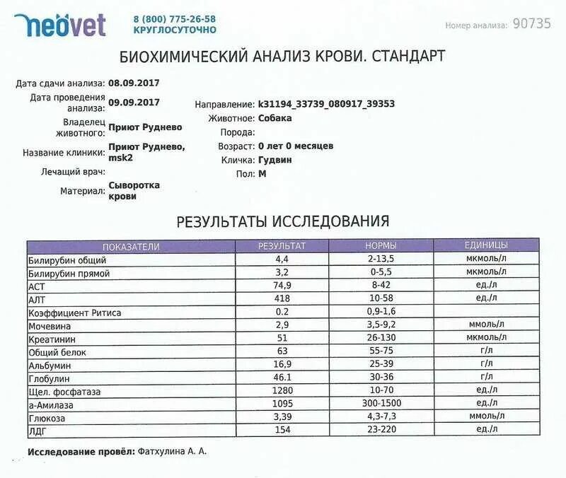 Глобулин у собак. Расшифровка анализа крови биохимический у собак таблица. БХ анализ крови показатели кортизол. Нормы биохимического анализа крови у собак таблица по породам. БХ крови у собаки.