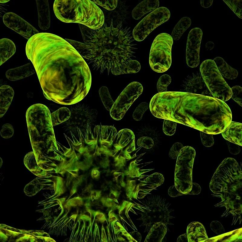 бактериоид под микроскопом. микробиологическая модель "бактерия" (е2371ba). микроробы под микроскопом. кариозные монстры для детей. микробы и бактерии.