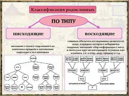 Прадед разбор