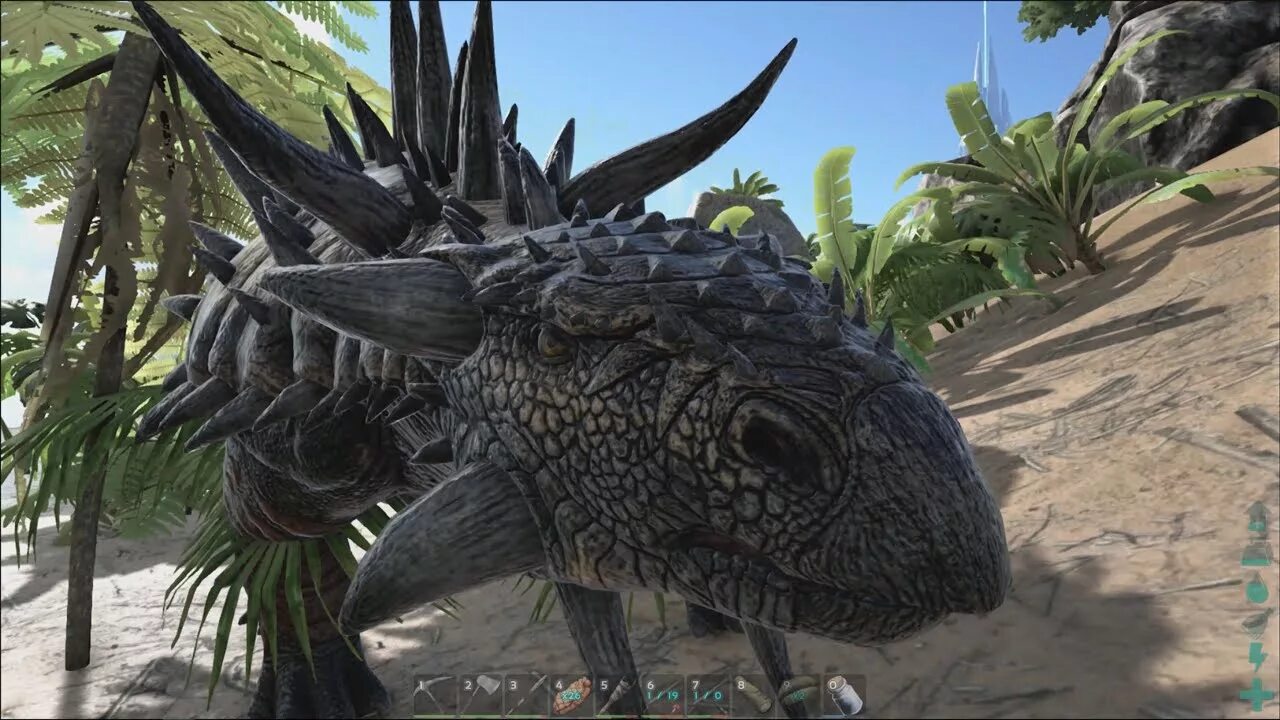 Анкилозавр арк. Арк сурвайвал анкилозавр. анкилозавр арк мобайл. ark survival evolved анкилозавр.