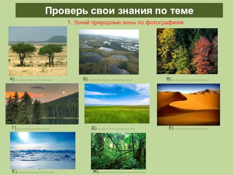 Природные зоны. Разнообразие природных зон. Изображение природных зон. Природные зоны картинки.
