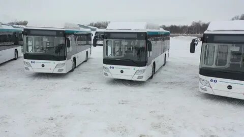 207 автобус маршрут