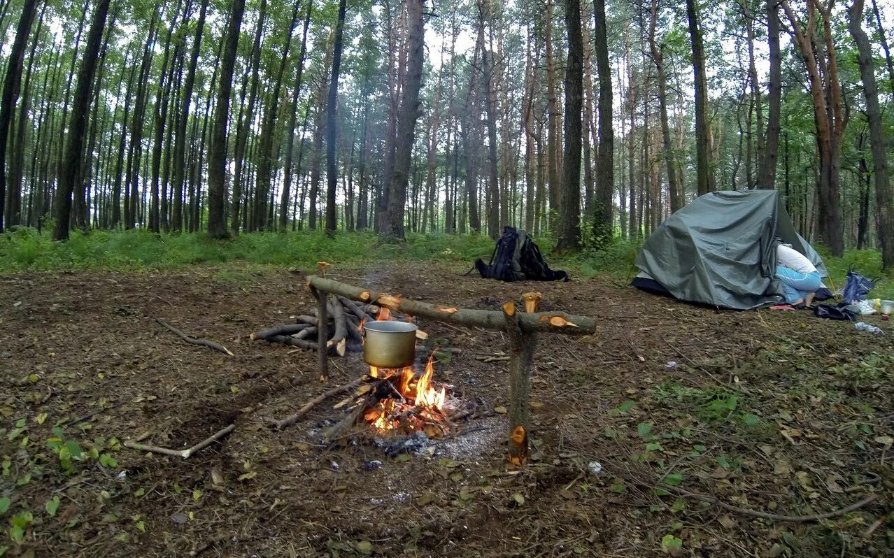 Ужасный поход. Палатка в лесу. Поход в лес. Палатка для похода в лес. Костер в лагере с палатками.