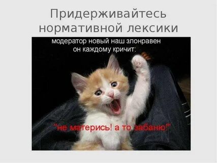 Без лексики