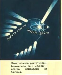 Направление хвоста